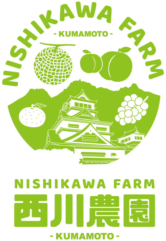 熊本の桃狩り 西川農園
