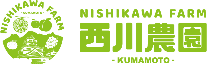 熊本の桃狩り 西川農園