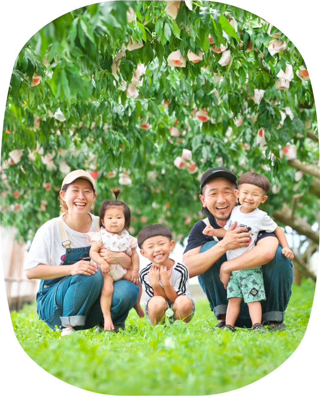 西川農園について