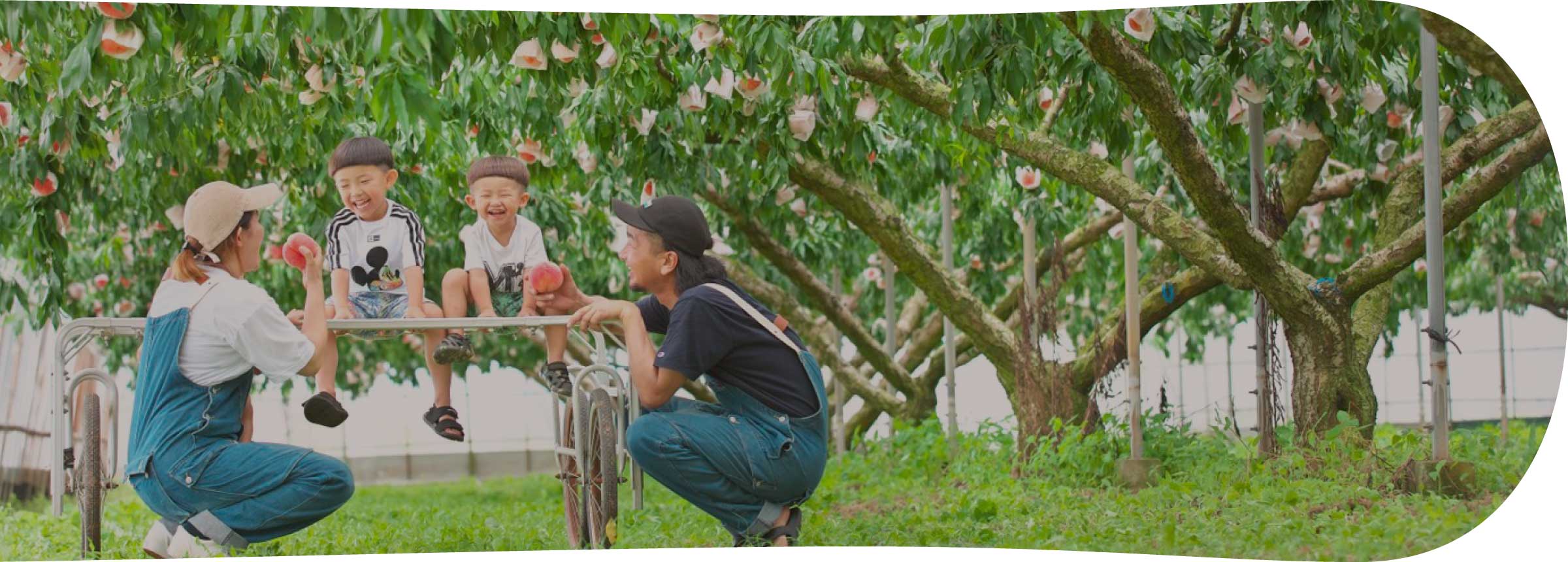 ご予約&お問い合わせ